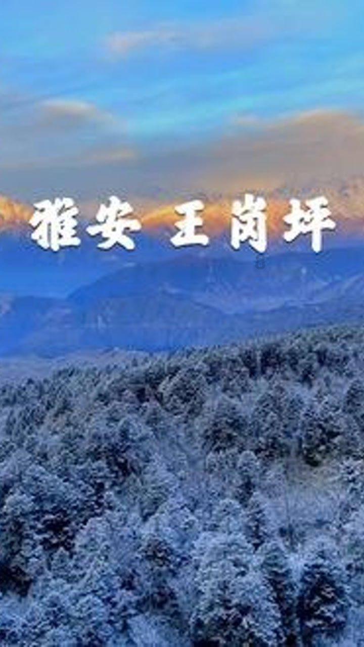 新熊出没找不同