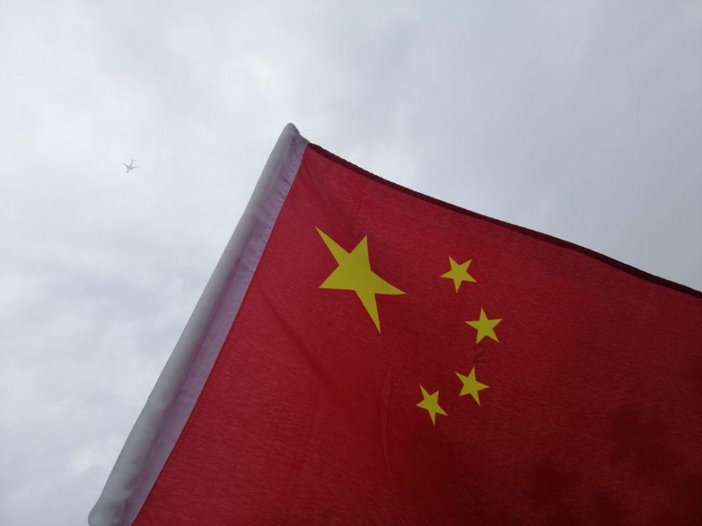 救援白色小猫