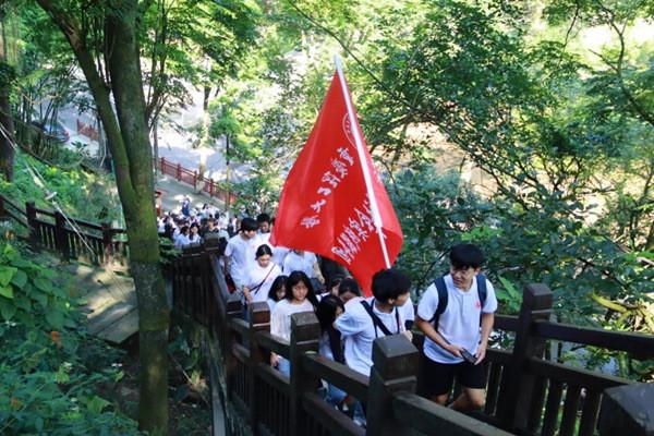 往日不再