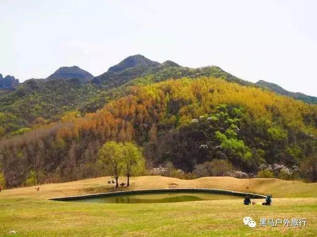 家园卡拉克沙漠