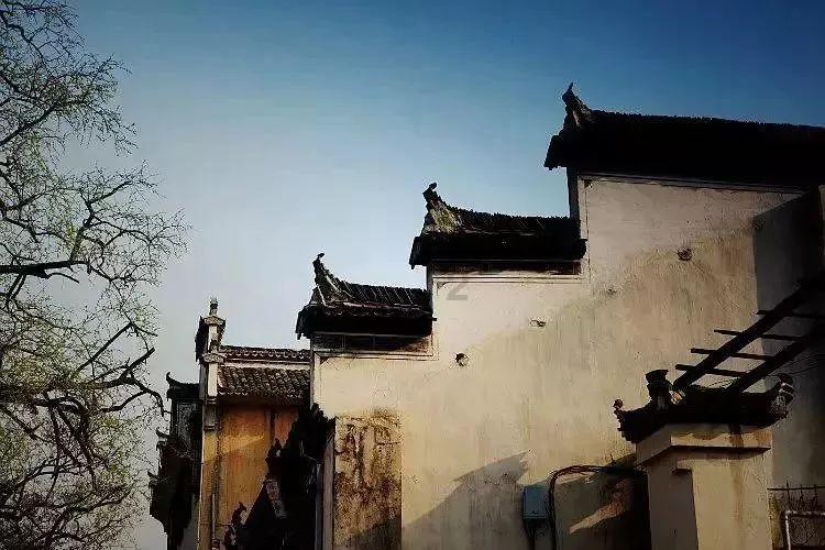 厚大罗翔说刑法：聚众斗殴致人重伤死亡该如何判定？